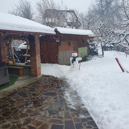 Casa Mea De Vacanta バイア・スプリエ エクステリア 写真