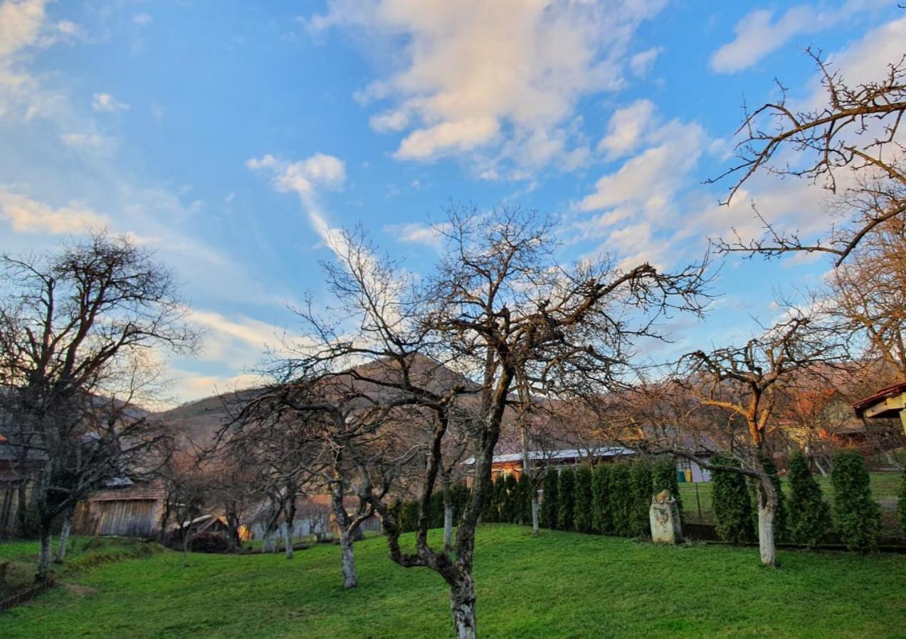 Casa Mea De Vacanta バイア・スプリエ エクステリア 写真